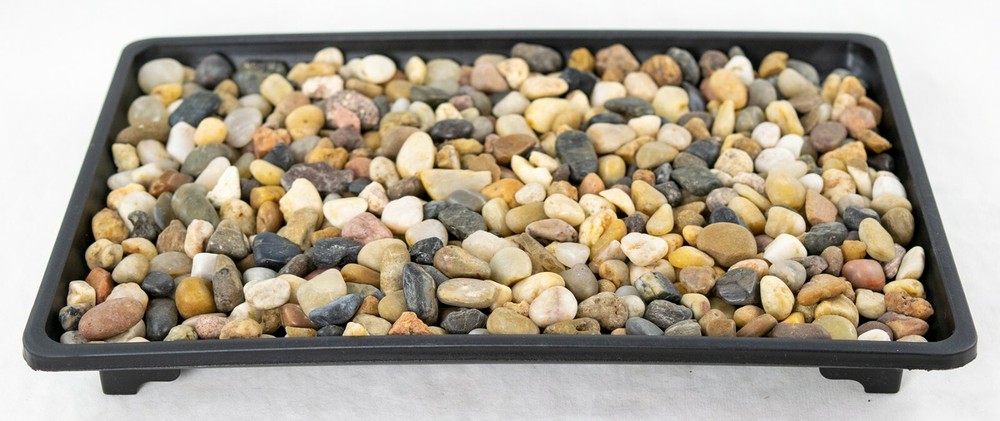 1 Rectangular Black Plastic Humidity Tray for Bonsai Tree + Rock 10.5"x 7"x 1"