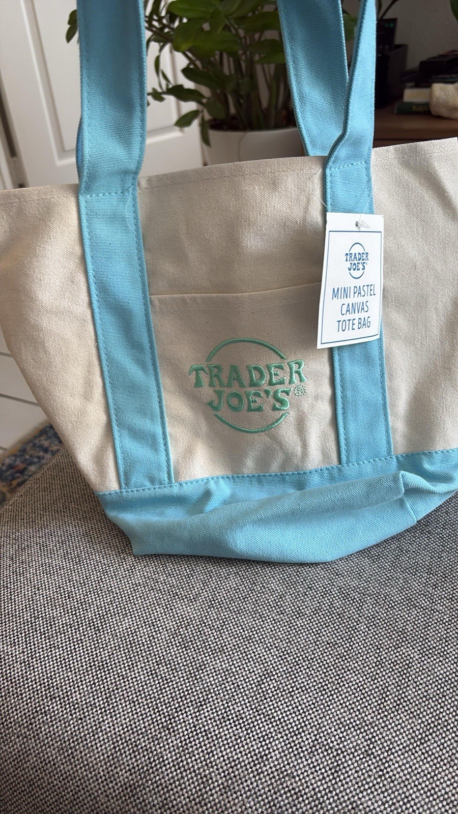 Trader Joe's Mini Canvas Reusable Pastel Blue Tote Bag Spring NWT gallery