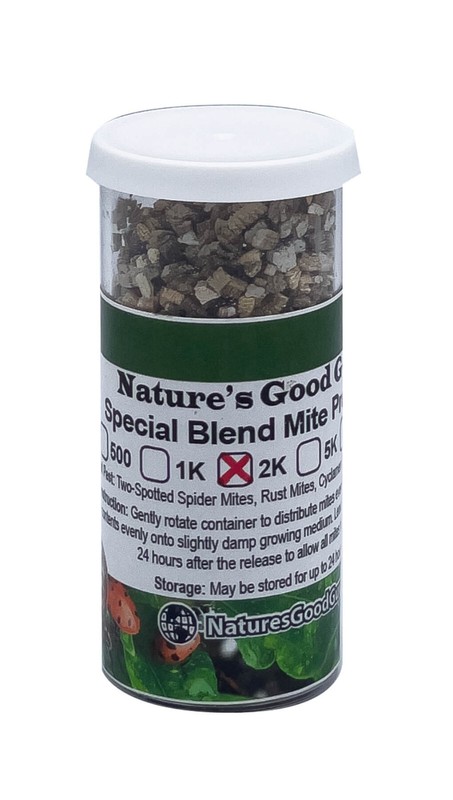 Special Blend Spider Mite Control Predatory Mites gallery