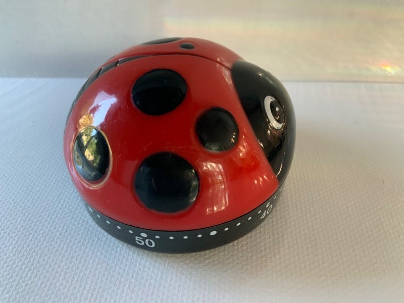 Ladybug Kitchen Timer 60 Minutes Cooking Spring Red Wind up Tool Egg Culinary gallery