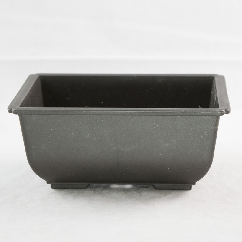 3 Rectangular Plastic Bonsai Training Pot, Succulent Planter 5.75"x 4.25"x 2.5" gallery