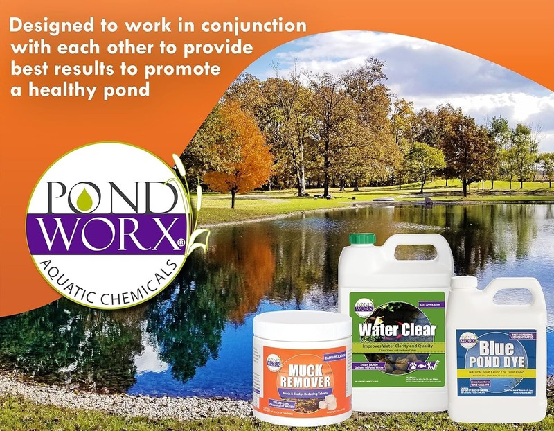Pondworx Pond Bacteria - Concentrated & Formulated for Large Ponds, Water Featur gallery