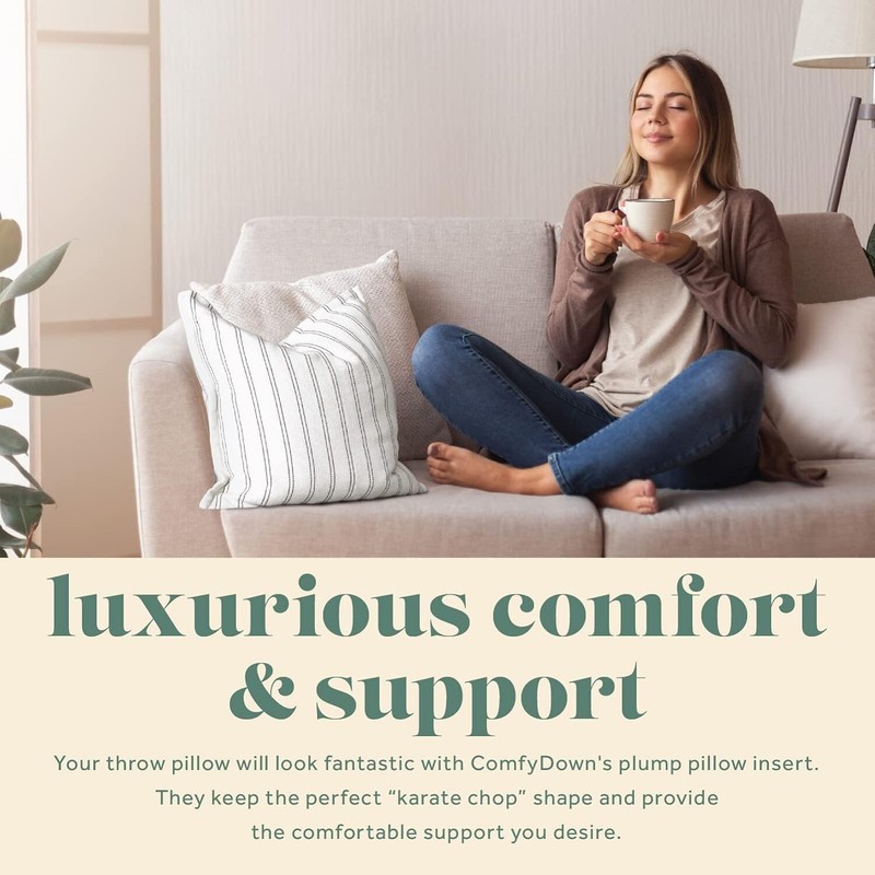 2 pack Decorative Throw Pillow Insert, Down and Feathers Fill, 100% Cotton Cover gallery