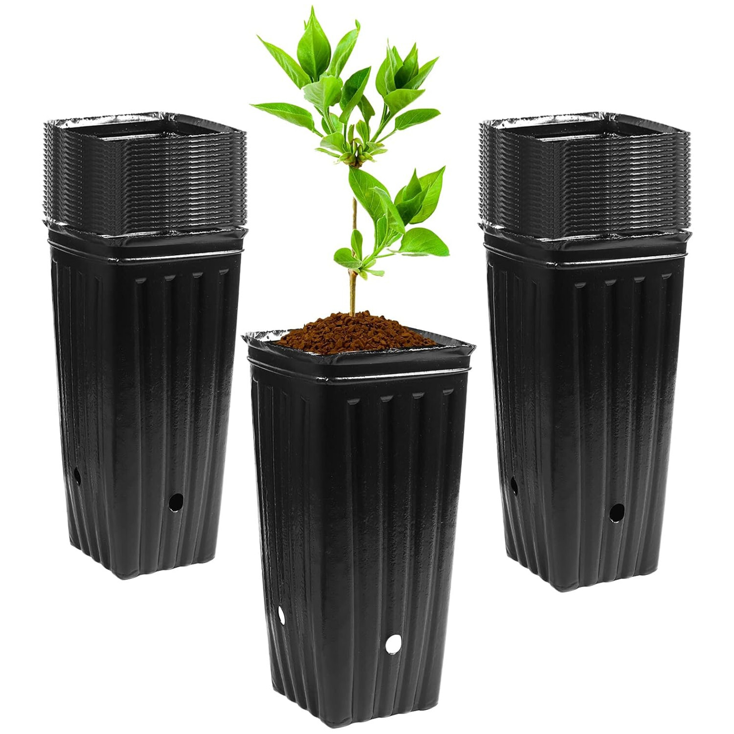 30PCs Tall Tree Pots Plastic Deep Plant Nursery Pots Tall Seedling Flower Pots gallery