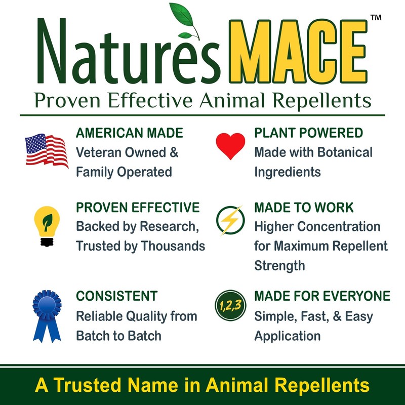 Squirrel MACE Anti-Chew Squirrel Deterrent Spray gallery