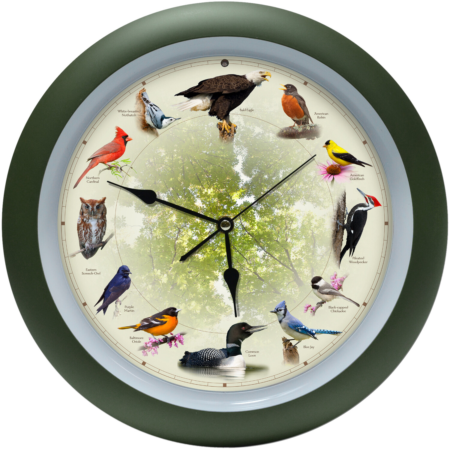 Limited Edition 20th Anniversary Singing Bird Wall Sound Clock, 13", Green gallery