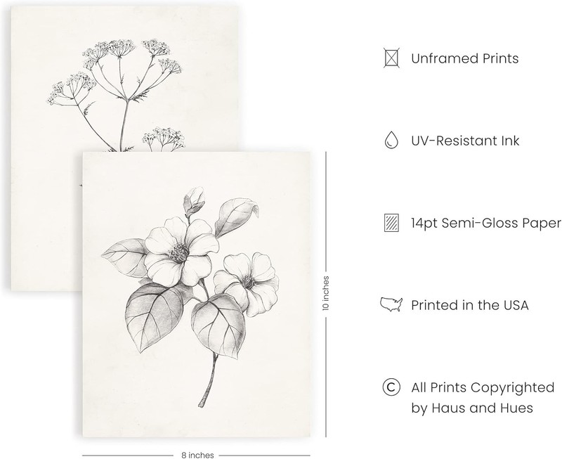 Rustic Grey Floral Wall Art Set - 4 Unframed 8x10 Vintage Botanical Prints gallery