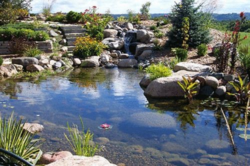 790 GPH Floating Pond Pool Surface Skimmer Koi Fish Water Garden Plug N Play gallery