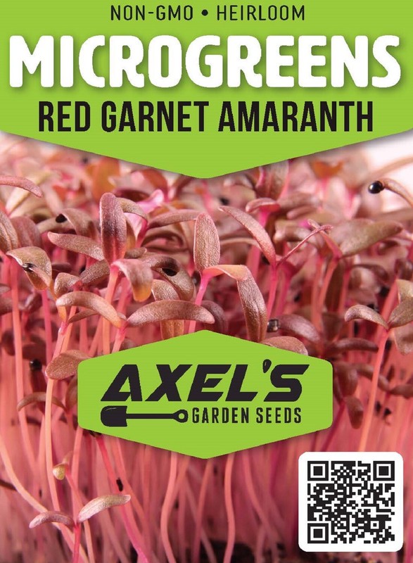 Red Garnet Amaranth MICROGREEN Seeds | Non-GMO | Heirloom | Seeds for Sprouting gallery