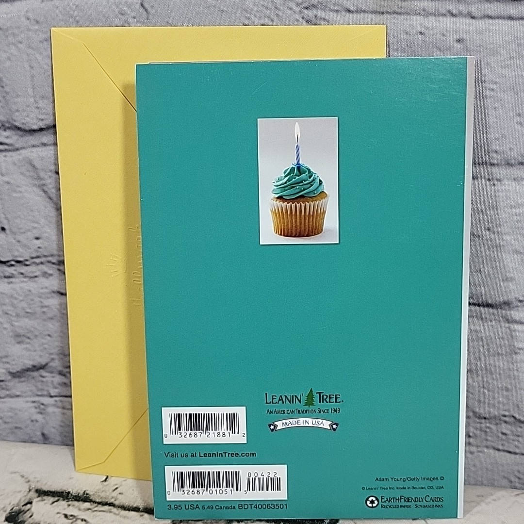 Leanin Tree Non-Political Non-Religious Cruelty Free Birthday Card Funny gallery