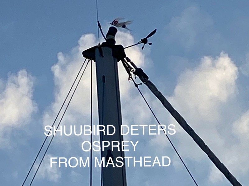 deter birds repel birds stop bird control birds bird deterrent bird repellent gallery