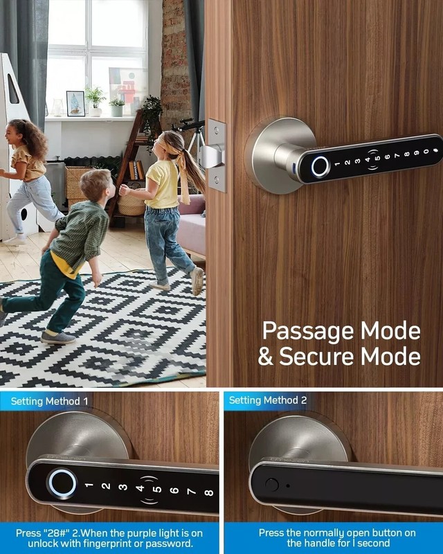Smart Door Handle, Fingerprint Keyless Entry Electronic Digital Keypad Free APP gallery