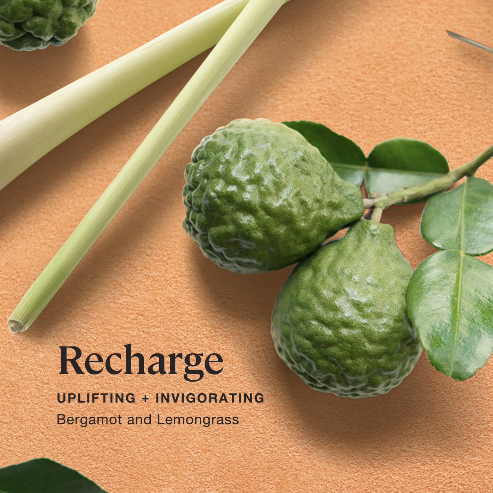 Sprig by Recharge Aromatherapy Candle with Bergamot and Lemongrass, 100% Natu... gallery