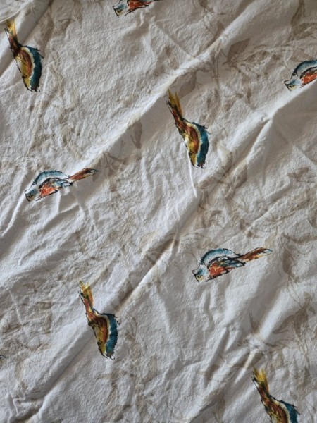 65in Threshold Round Tablecloth Bird and Leaves (Cotton) gallery