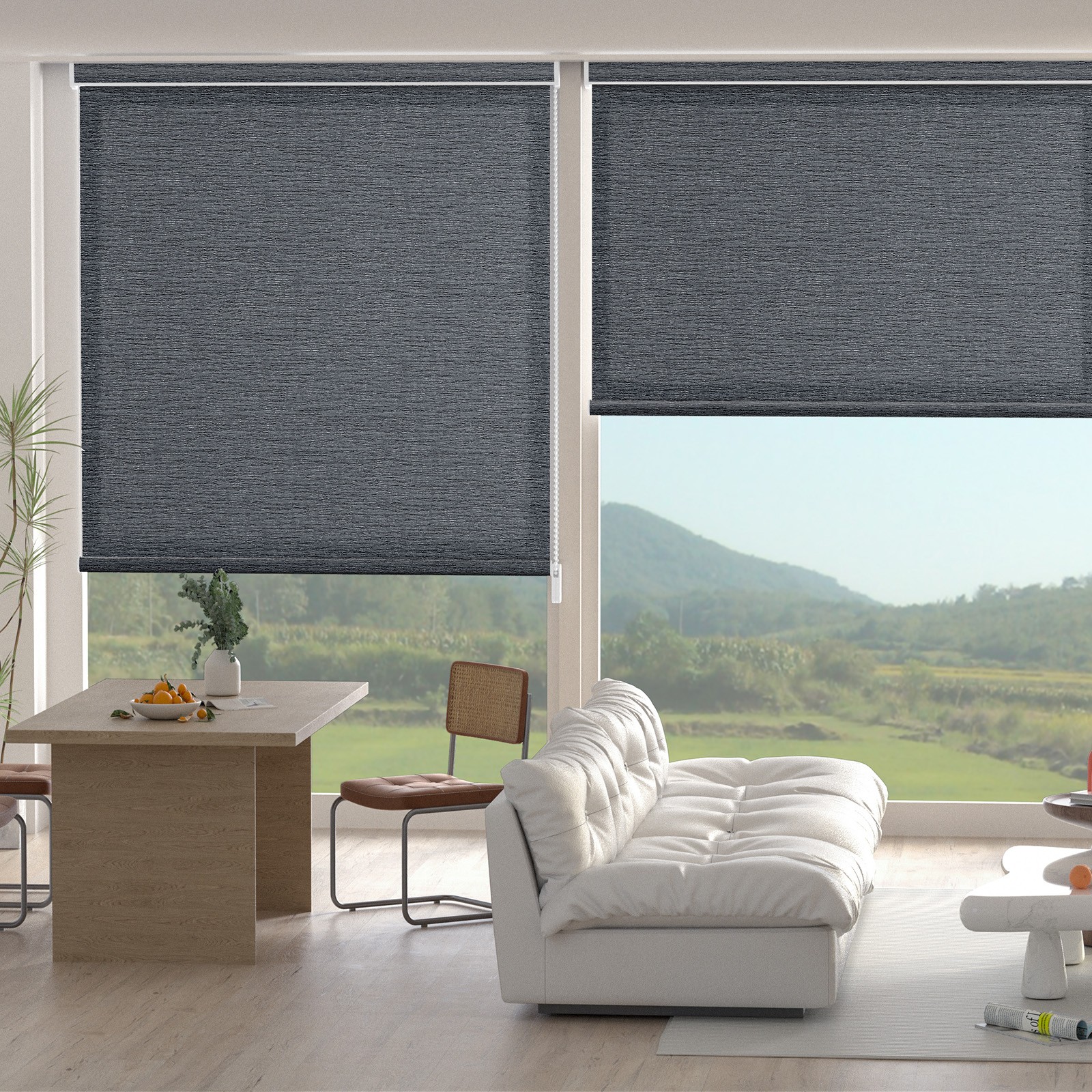 Changshade CUSTOM Corded Light Filtering Waterproof Window Blinds Roller Shades gallery