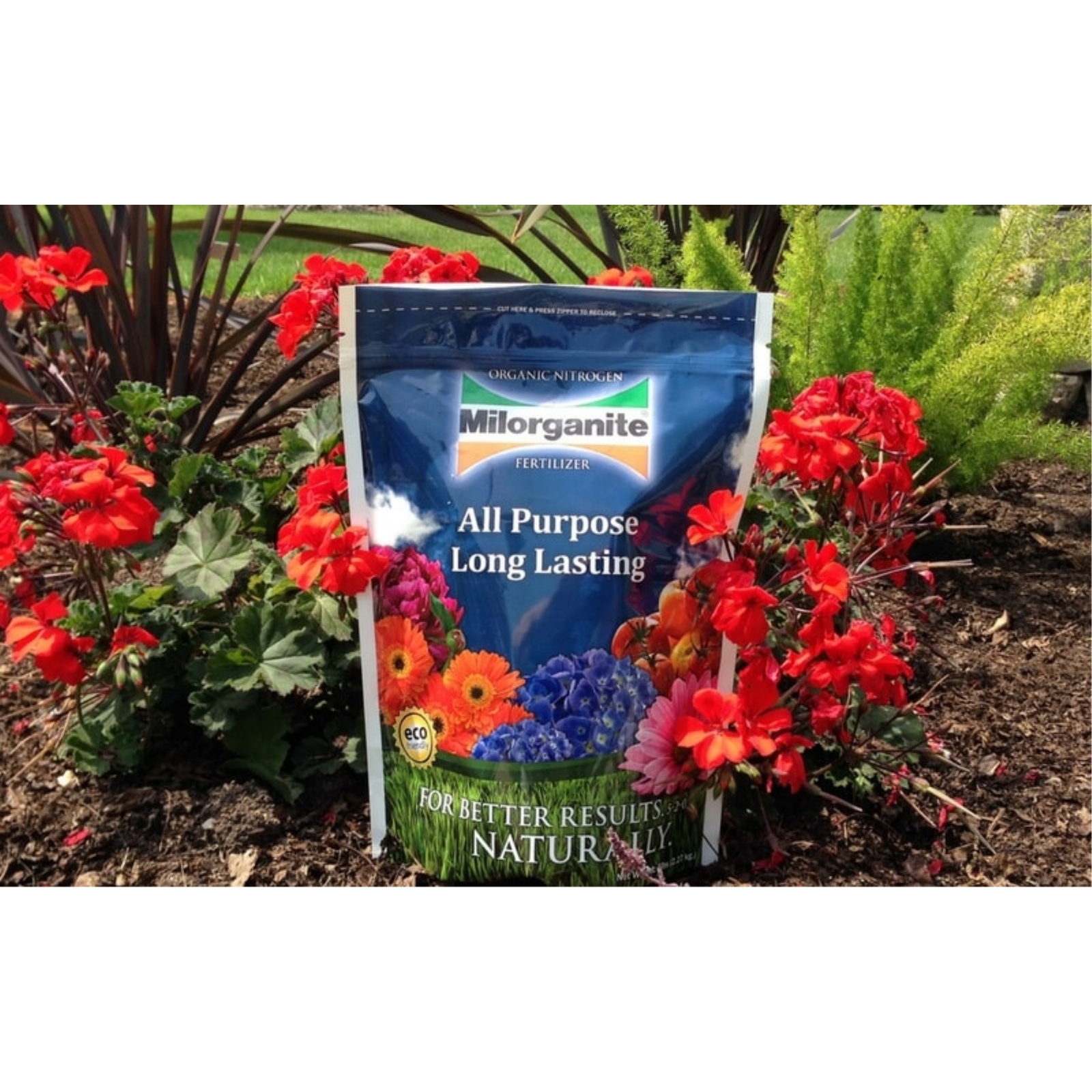 Milorganite All-Purpose Slow-Release Nitrogen Fertilizer 6-4-0, 5lb (Pack of 2) gallery