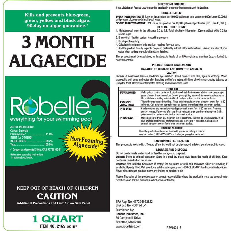 Robelle 3 Month Algaecide Pool Metallic Non-Foaming Algae Control - 2 Quarts gallery