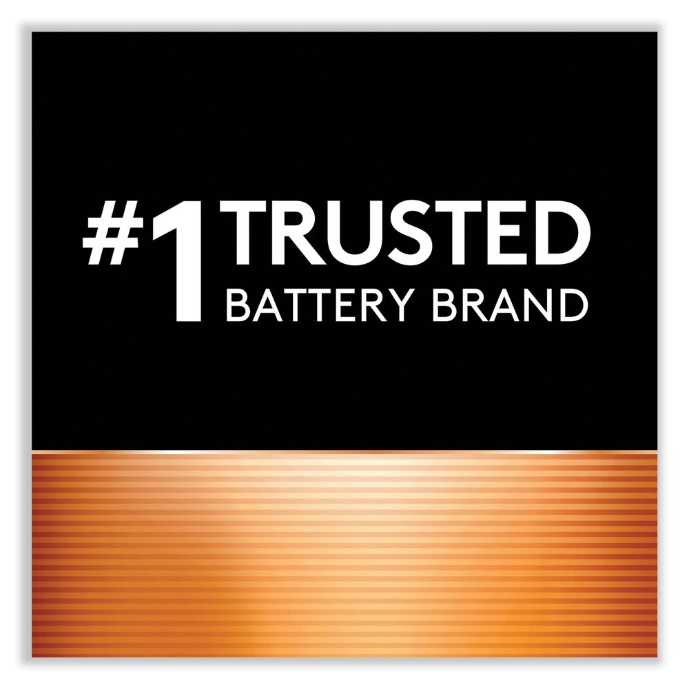 Duracell MN1500B2Z Power Boost CopperTop Alkaline AA Batteries (2/Pack) New gallery