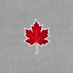 Vibrant Red Maple Leaf Sticker – Autumn Fall Decor – Seasonal Nature Art Decal #