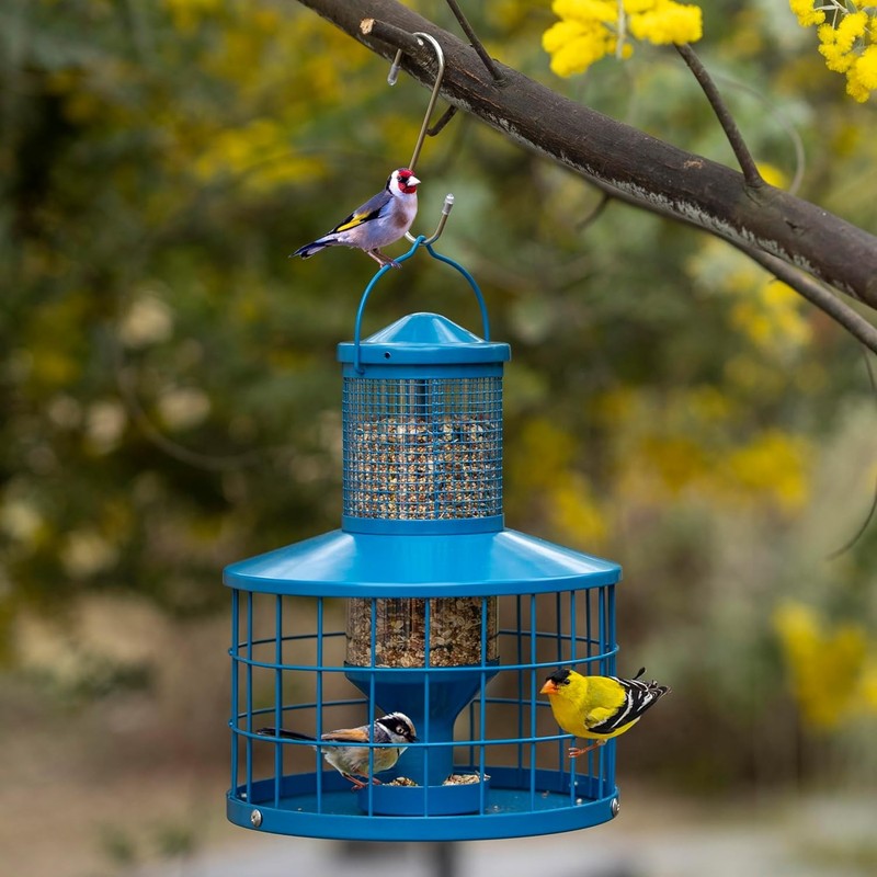 Caged Bird Feeders Squirrel-Proof, Metal, 2.8 Lbs Capacity-Cage Tube Seed Feeder gallery