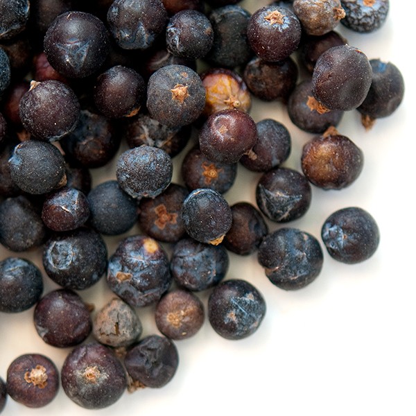 Juniper Berries, Whole | Bulk | Spice Jungle gallery