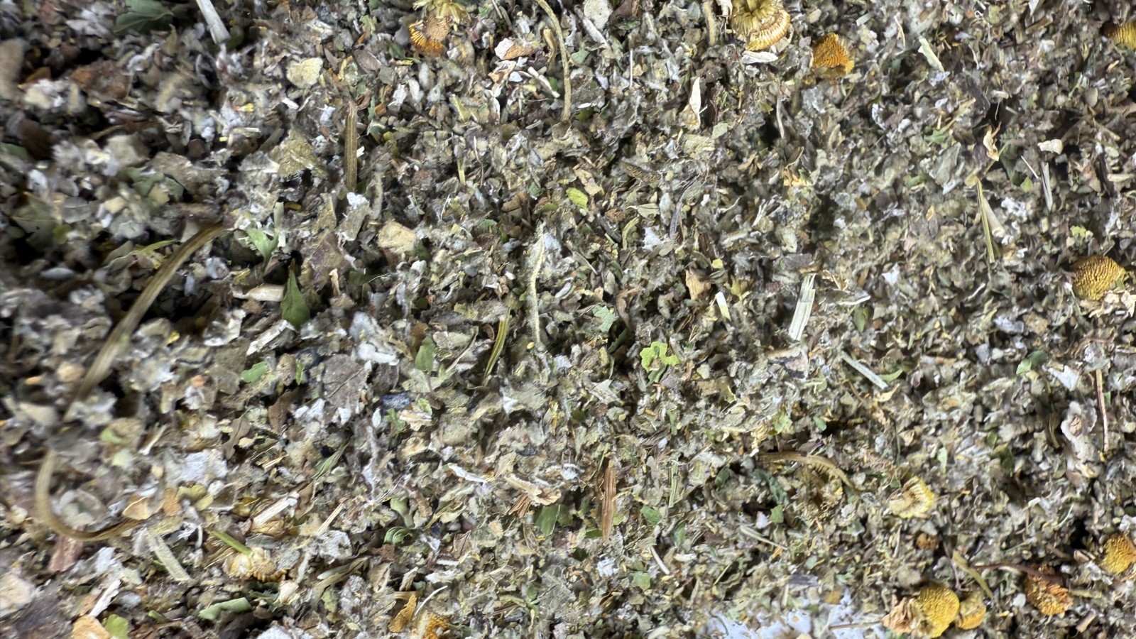 Marshmallow Raspberry Mullein Skullcap Spearmint Chamomile — No.91 Herbal Blend gallery