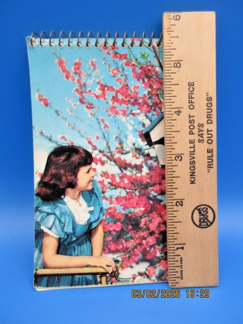 Vintage Spiral Bound Notebook with Nostalgic Scene of Young Girl Blue Dress gallery