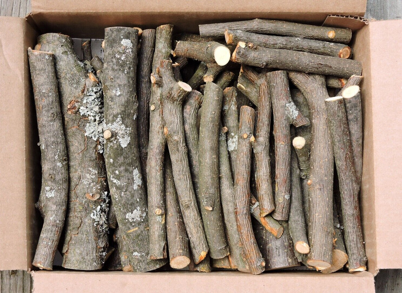 Apple Wood Stick Log Chunk for BBQ Smoking Grilling Crafts 1/2~2"D 2~8"L 5+ Lbs gallery