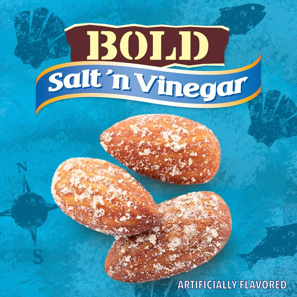 Blue Diamond Almonds, Bold Salt 'n Vinegar, 16 Ounce (Pack of 1) gallery