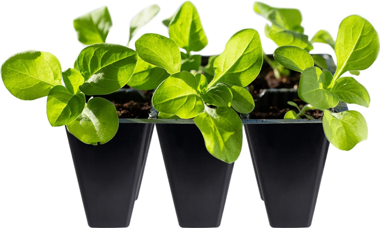 30 Pack 6-Cell Seed Starting Tray for Seedlings, Plant Starter Trays with New gallery