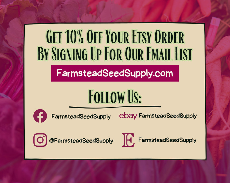 5,000+ Amaranth Seeds [Red Garnet] Gardening Seed Packet, Heirloom, Non-GMO gallery