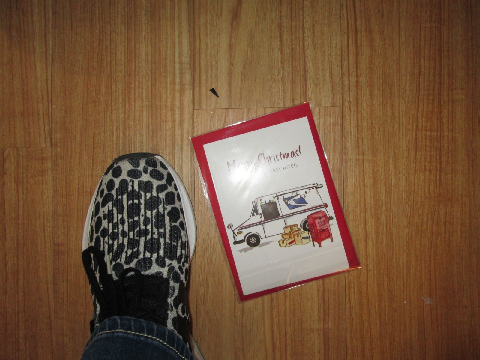 Merry Christmas Card for awesome mailman! w/envelope Blank inside Thoughtful ! gallery