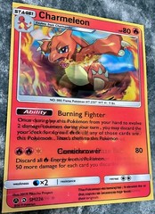 Pokémon-Charmander,Charmeleon,Charizard-3DLenticular Flip Effect,3 In One