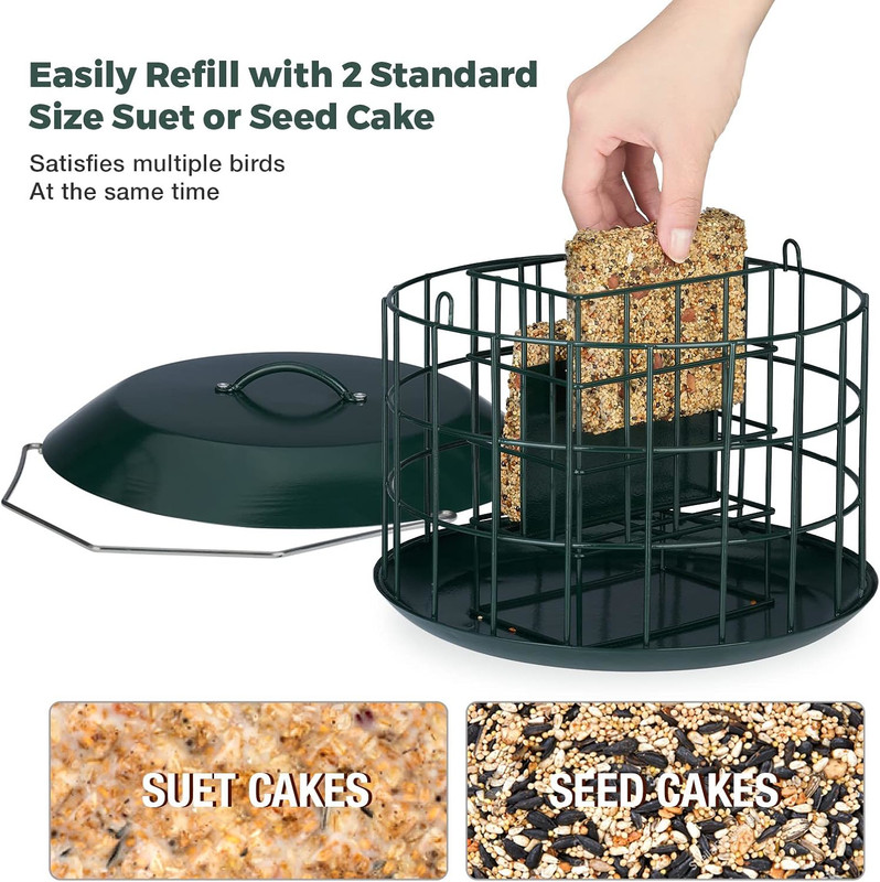 Squirrel Proof Metal Suet Feeder for Birds, Dual Cake Capacity, Green gallery