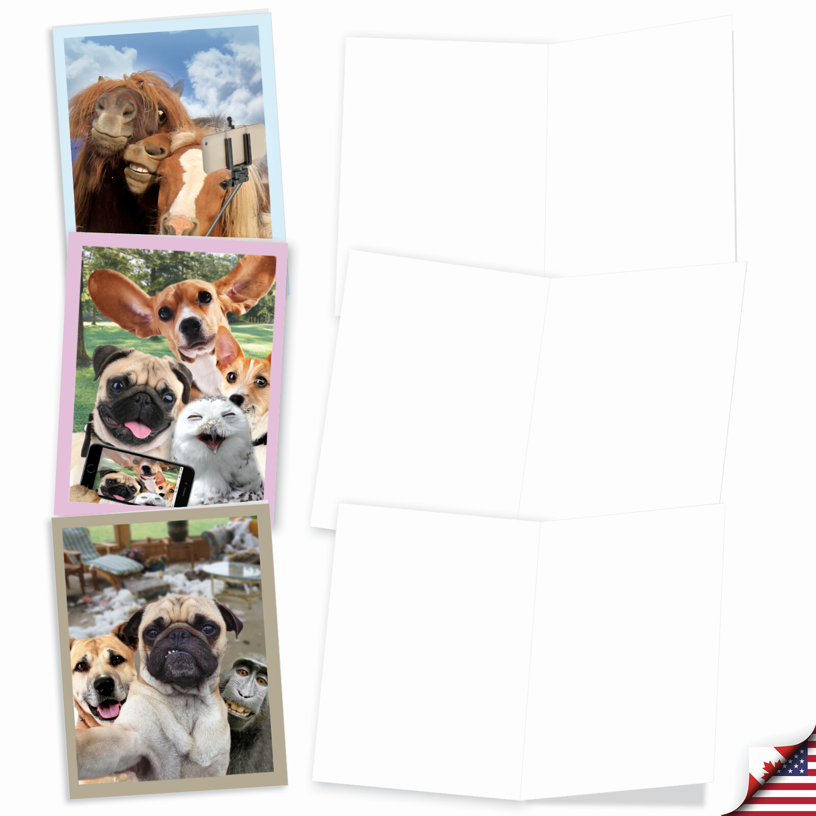 10 Assorted All Occasion Blank Note Cards - ANIMAL SELFIES M2373OCB gallery