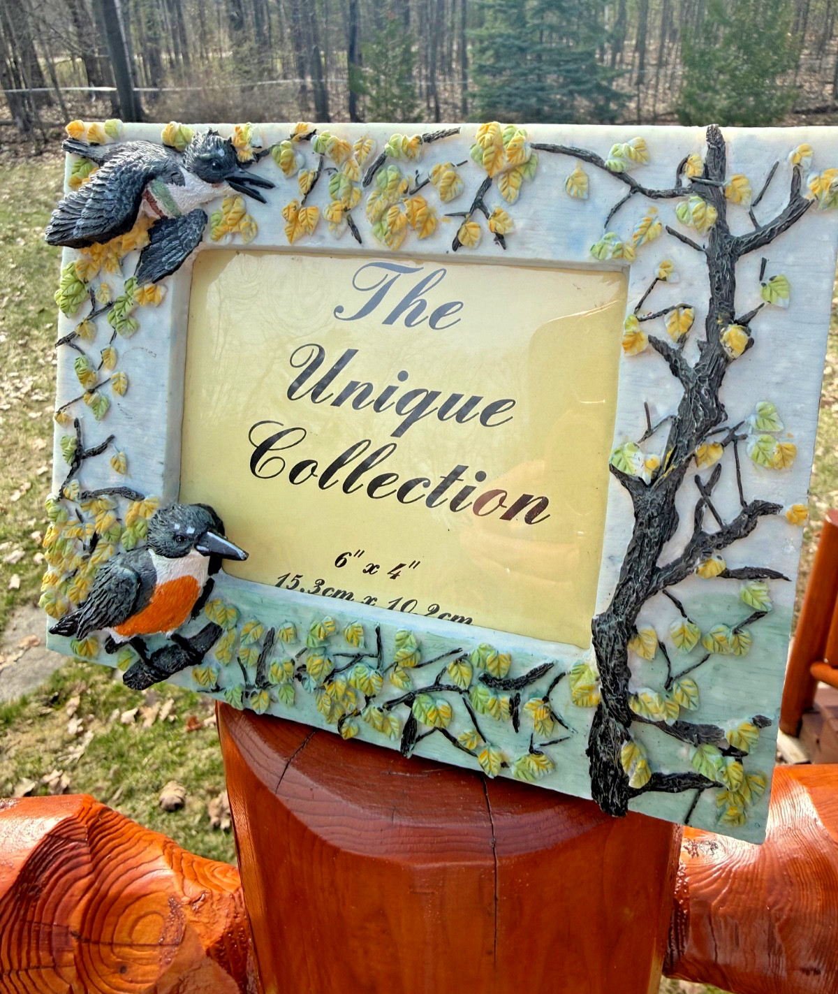 The Unique Collection King Fischer BIRDS 3D 3.5 x 5" Photo Picture Frame Resin gallery