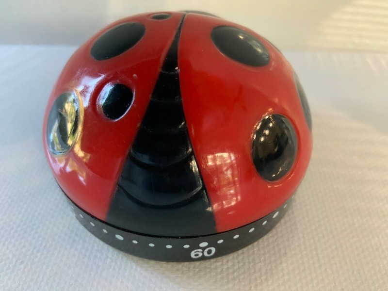 Ladybug Kitchen Timer 60 Minutes Cooking Spring Red Wind up Tool Egg Culinary gallery