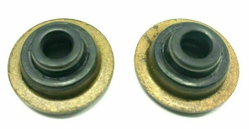 MASTER ENGINE REBUILD KIT FITS OPPOSED TWIN CYLINDER BRIGGS & STRATTON 16HP-18HP gallery