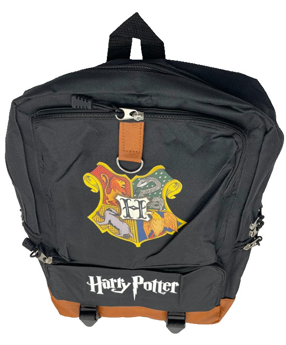 Large Heavy Backpack – Assorted Designs (1CT) Only $29.99 | FREE Shipping 4