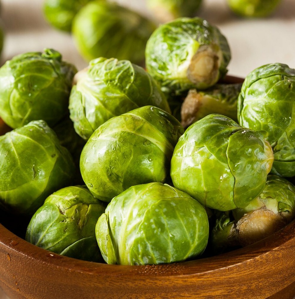 Brussel Sprouts Seeds 600+ | Fresh Garden Seeds