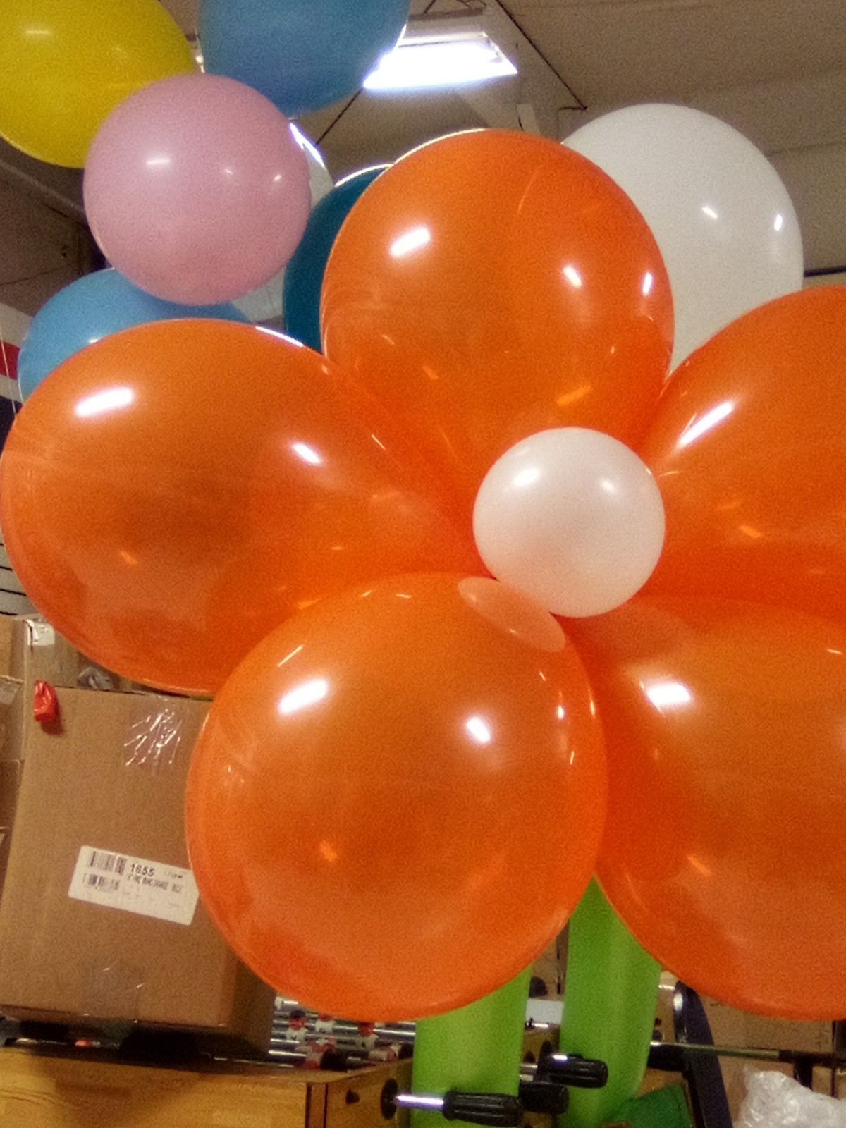 Qualatex Balloons,Top Quality 16"Mandarin Orange Balloons 50 InBag gallery