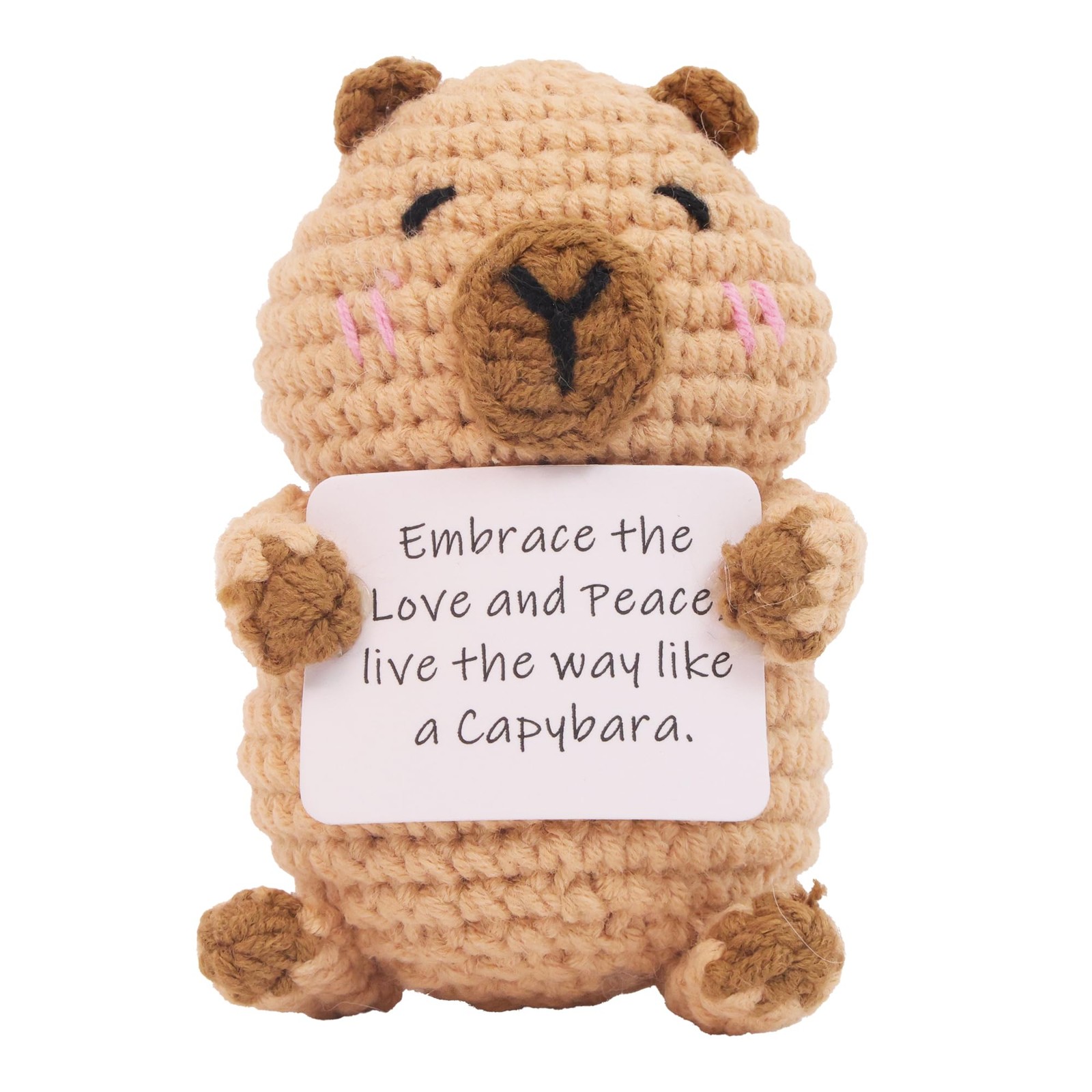 Capybara Gifts, Positive Crochet Animals Capybara, Knitted Wool Saffron gallery