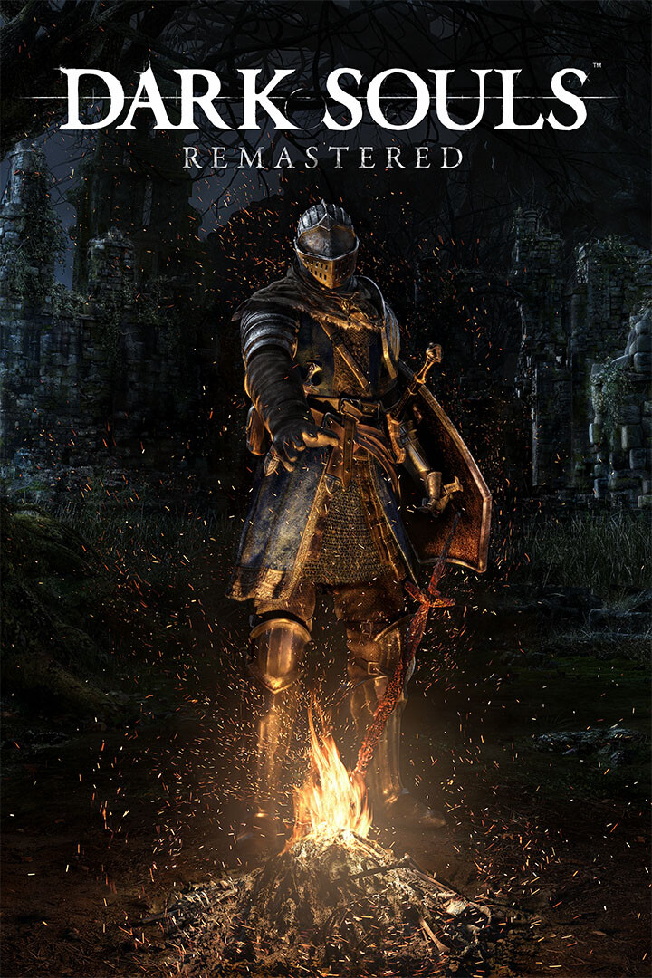 Dark Souls Video Game Role Playing Game Action Wall Art Home - POSTER 20x30 gallery