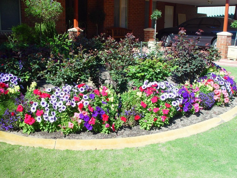 Soil Vigor: Potassium Polyacrylate Super Absorbent Polymer Water Storing Crystal gallery