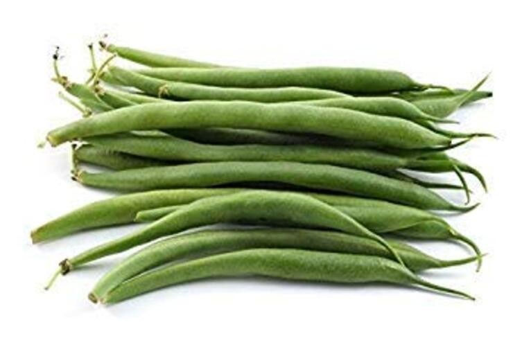 Provider Bush Green Bean Seeds (Phaseolus vulgaris) – 30+ Non-GMO Heirloom by gallery