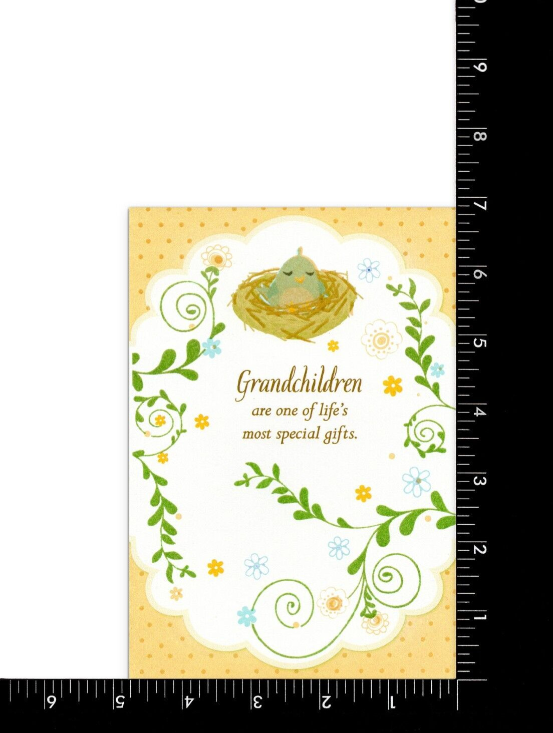 Cute FIRST GRANDPARENTS DAY Card FOR A NEW GRANDPARENT, Bird Nest by Hallmark +✉ gallery