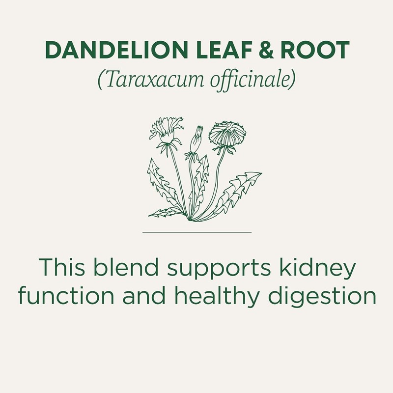 1 Pack Dandelion Leaf & Root Herbal Tea Supports Kidney Function and Digestion gallery