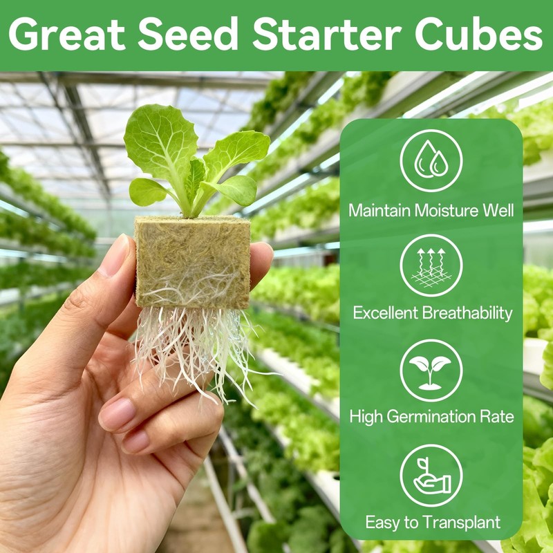 100PCS 1Inch Rockwool Cubes for Seed Starting, Hydroponics, and Cloning gallery