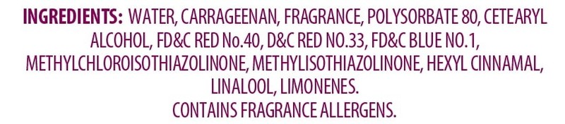 (6 pack) Great Value Adjustable Gel Cone Air Freshener, Raspberry Fields, 7 oz gallery