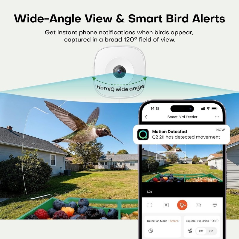 Interactive Smart Bird Feeder with AI Recognition & Durable Construction - 2K HD gallery